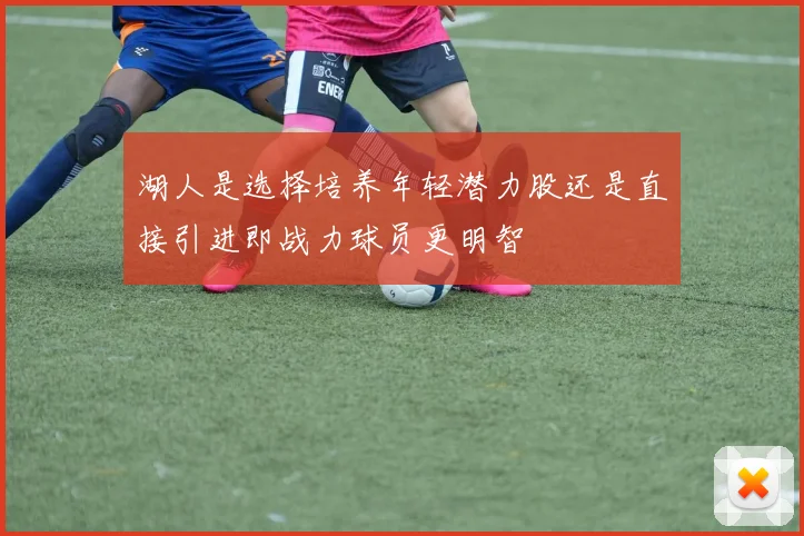 湖人是选择培养年轻潜力股还是直接引进即战力球员更明智